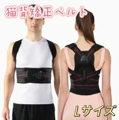 Item thumbnail for item a6333e48-271a-4b6d-a293-cc437d413e1a