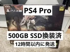 PS4 Pro (500GB SSD換装済) リオレウスエディション