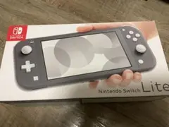 Nintendo Switch Lite グレー ケース・フィルター付き