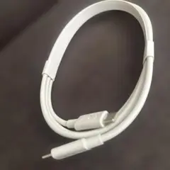 USB-C to USB-Cケーブル 長め