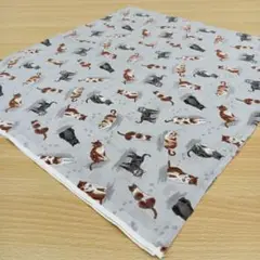 ★B480★ メイドインジャパン/ブランド/プリント生地/50cm