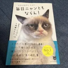 毎日ニャンともならん! 世界でいちばん不機嫌なネコ