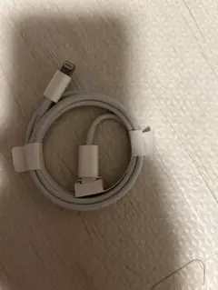 ホワイトライトニングケーブル