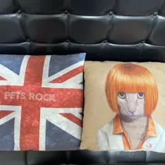 PETS ROCK クッション　２点セット