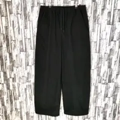 TEATORAテアトラ・黒・WalletpantsHOTELSMソロモジュール3