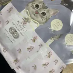 Item thumbnail for item 18777bfa-e523-4ea9-bf1d-f234ad805598