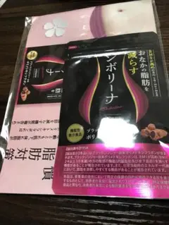 イカワ企画株式会社 シボリーナ