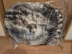 Item thumbnail for item 444d3902-2811-420c-a2de-5f3b2a932de8