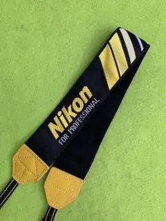 Item thumbnail for item 06968a5c-3f7e-439c-86af-516157befccb