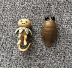 PUTITTO ヒグチユウコ　ツチグリぼうや テアシアノマロ