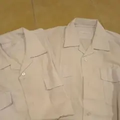 Item thumbnail for item 2c8599a1-467a-4be1-a784-ebacbaff20a9