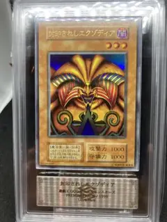 ブルーアイズホワイトドラゴン初期 虹ネーム PSA鑑定品 - メルカリ