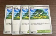 活力の森 4枚セット