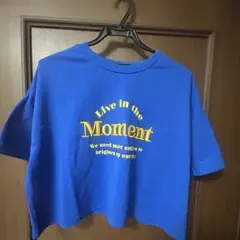 レディース Tシャツ ブルー Lサイズ