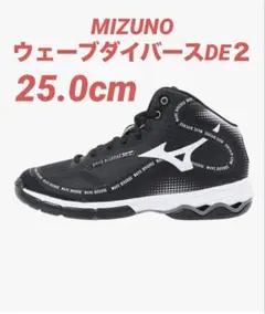Item thumbnail for item 6953af24-c7fe-4881-a9e0-e83204b690c2