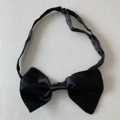 Item thumbnail for item 847e2724-d1df-4b80-a7c2-211fcf8882ad