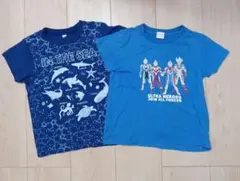 ウルトラヒーロー &海の生き物Tシャツ　 110サイズ