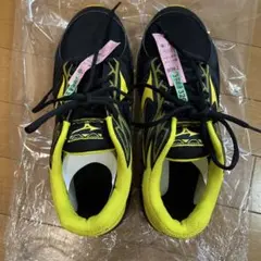 ミズノ　RUNBIRD スニーカー27cm