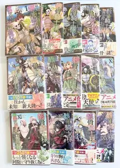 骸骨騎士様、只今異世界へお出掛け中　1〜14 既刊　全巻セット　カバー付き　美品