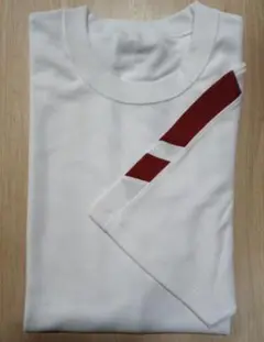 体操服 半袖 3L