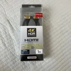 YAZAWA HDMIケーブル HD410GD 1m