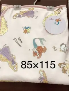 ☆新品☆*:.。ディズニープリンセス ブランケット ひざ掛け お昼寝ケット 毛布
