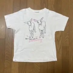 Doucatty Tシャツ キッズ