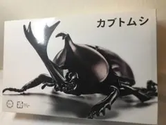【2体入り】フジミ模型 カブトムシ プラモデル