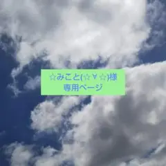 ☆みこと(☆∀☆)様 リクエスト 2点 まとめ商品