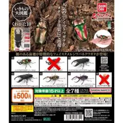 いきもの大図鑑 くわがた10 5種セットガチャ　⑫
