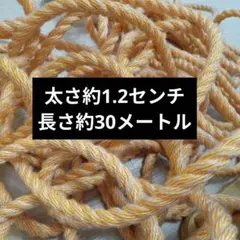 ロープ　牽引ロープ　車　綱引きロープ　30メートル　30m
