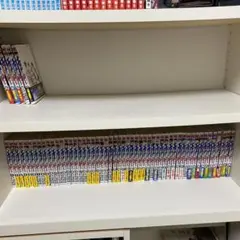 エリアの騎士1〜57巻全巻セット