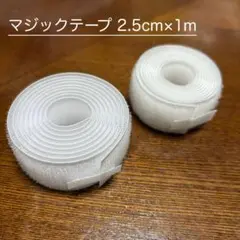 マジックテープ 2.5cm x 1m