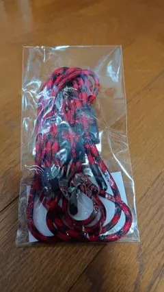 HYDE N' SECRET 2025 [マルチストラップ]
