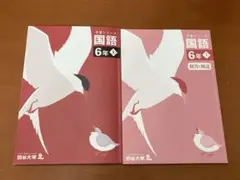 予習シリーズ 国語 6年 上 解答・解説付き 四谷大塚