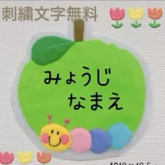 受注製作　あおりんご　あおむし　ワッペン　1400円からフェルト文字に変更可能