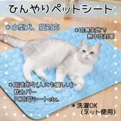 Item thumbnail for item 489bbed0-3b64-4bad-bc1d-75ce119acf64