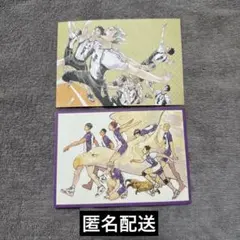 ハイキュー‼︎POST CARD BOOK 2枚セット