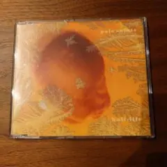 Pale Saints Half-Life CDシングル ペイル セインツ