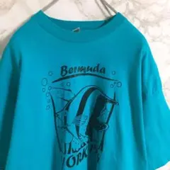 【ＵＳＡ製】フルーツオブザルーム　半袖Ｔシャツ　なえなのブルー　ＸＬ