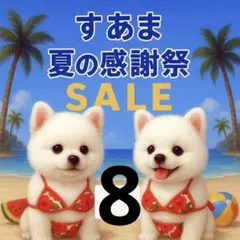 ✨夏の感謝祭セール✨パネル【Ｎｏ．8】