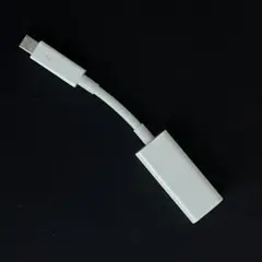 【純正品】 Apple Thunderbolt Ethernet アダプタ