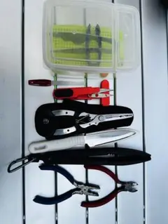 Item thumbnail for item b1c8e779-8afc-40ee-b8bb-7bae182a0ee4