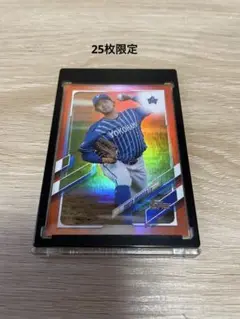 Item thumbnail for item 72bb4770-1de3-4c88-bdd1-b139a738dd88