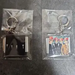 THEE MICHELLE GUN ELEPHANT スペアーキー キーホルダー 2025年最新】THEE MICHELLE GUN ELEPHANT キーホルダーの人気