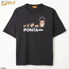 鴻池剛と猫のぽんたニャアアアン！