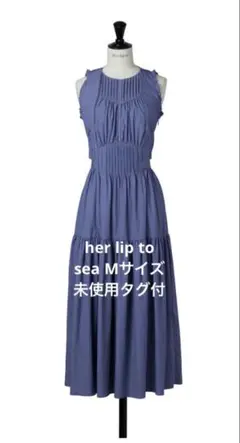 新品未使用‼️ Viera Pintuck Tiered Dress