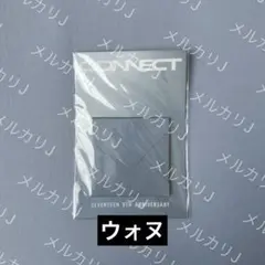 SEVENTEEN 8周年 ピアス ウォヌ