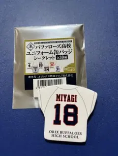 2025年最新】宮城大弥 ユニフォーム 18の人気アイテム - メルカリ