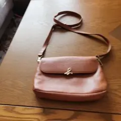 アニエスベーシヨルダーバツグ。